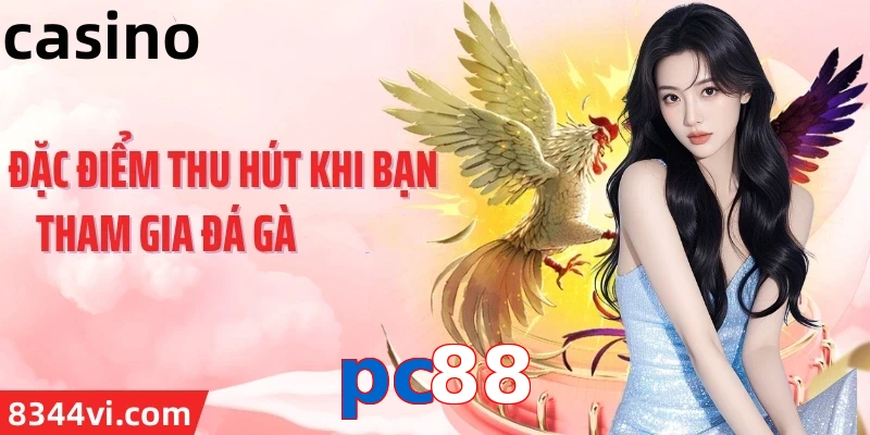 pc88